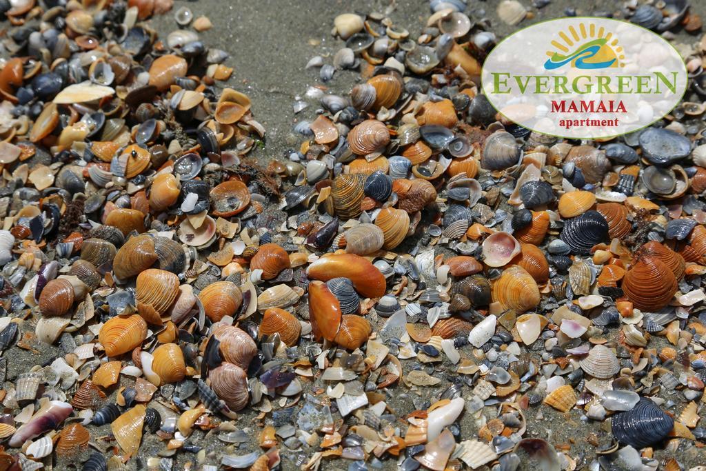 Evergreen Vlas Mamaia Sud ภายนอก รูปภาพ